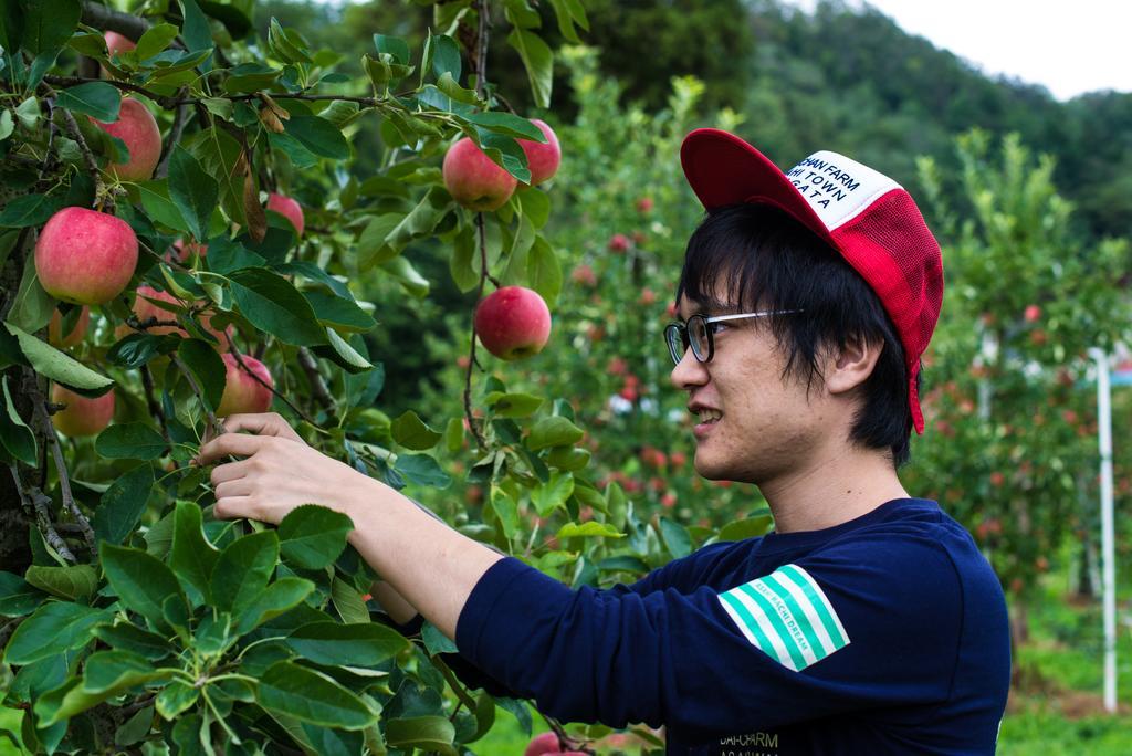 Daichan Farm Guest House Asahi  Ngoại thất bức ảnh