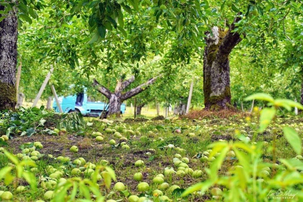 Daichan Farm Guest House Asahi  Ngoại thất bức ảnh